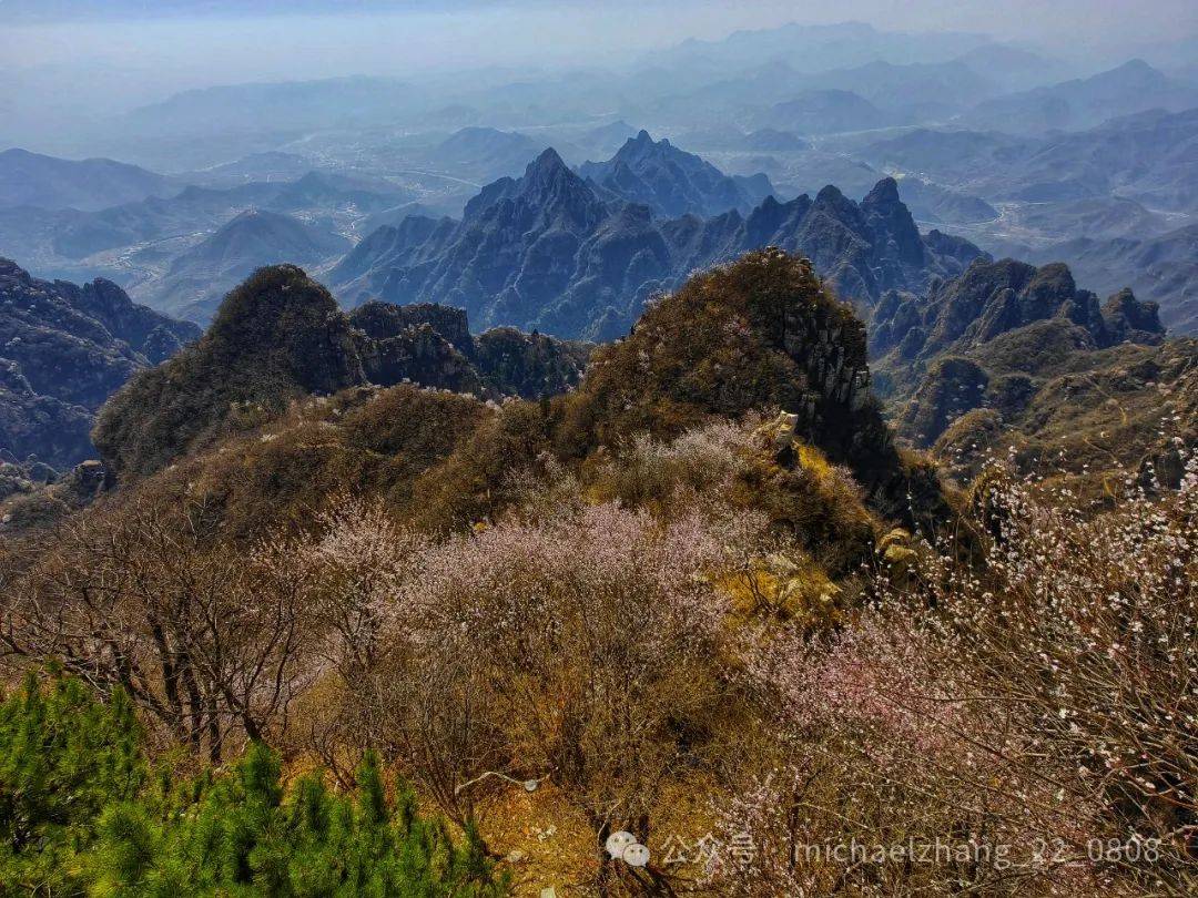 张明、王喆、陈胤默 | 三大数字货币的比较分析：比特币、天秤币与数字人民币