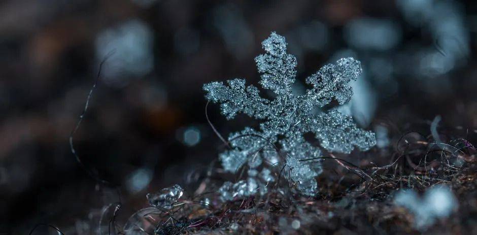 大到暴雪，降温超过16℃，积雪超10厘米！陕西将迎大范围雨雪降温大风！紧急提醒→