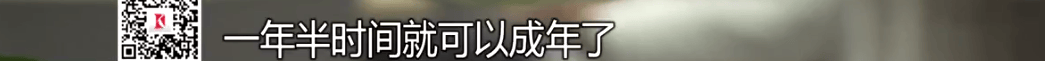 4个人骗了5个亿！该平台有120万用户！上海警方披露详情